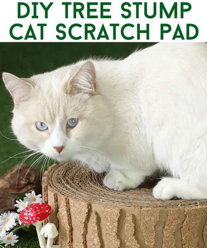 DIY Tree Cat Scratcher