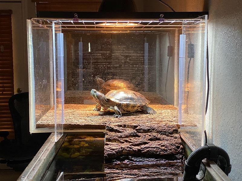 DIY Turtle Basking Areas