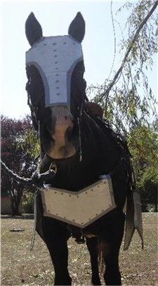 DIY War Horse Costume