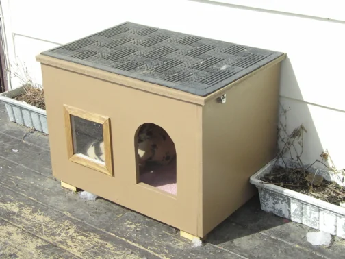DIY Weather Resistant Cat House with a Window