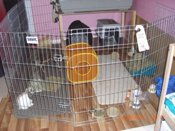 DIY Wire Great for Dog Owner