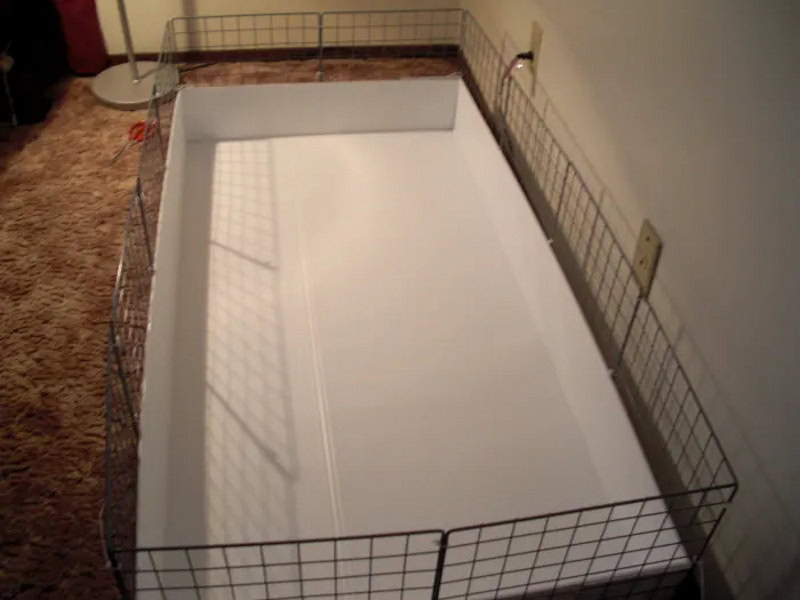 DIY guinea pig cage