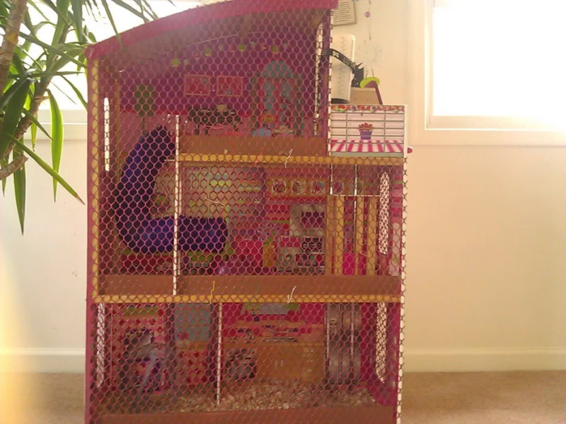 DIY hamster cage