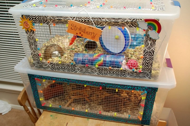 DIY hamster cage