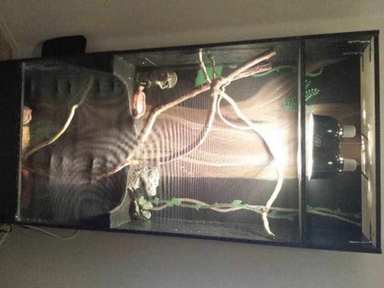 DIY reptile enclosure