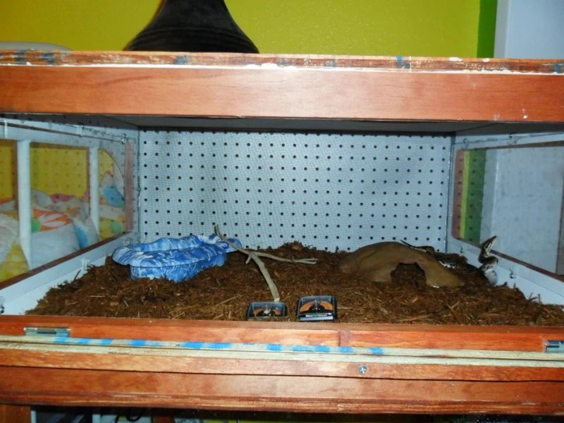 DIY reptile enclosure