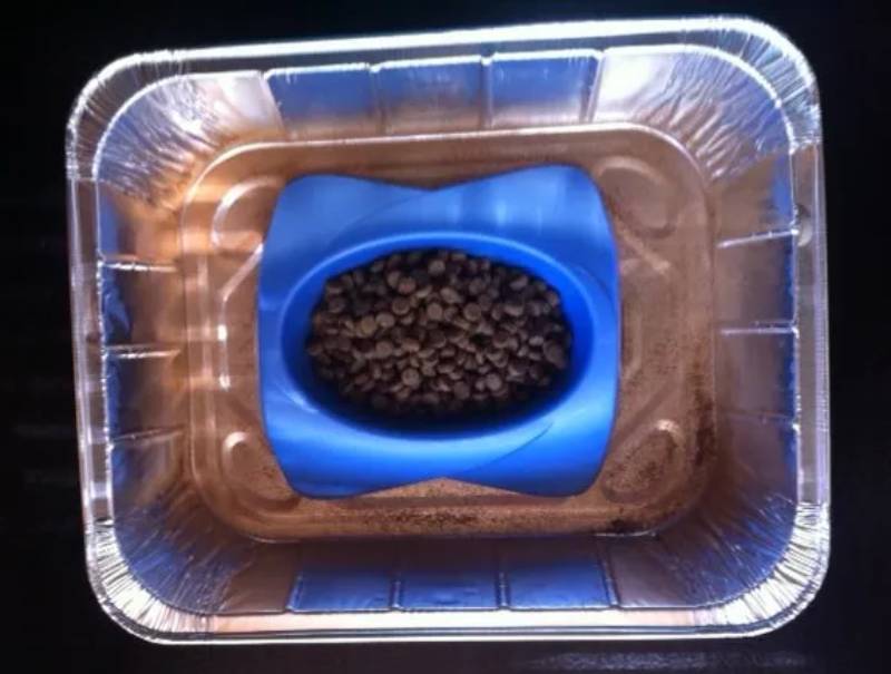 DIY cinnamon tray ant proof cat bowl