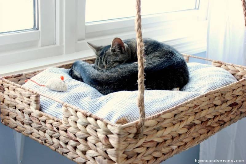 DIY hanging diy cat bed