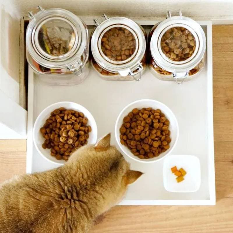 DIY minimalist feline food trays