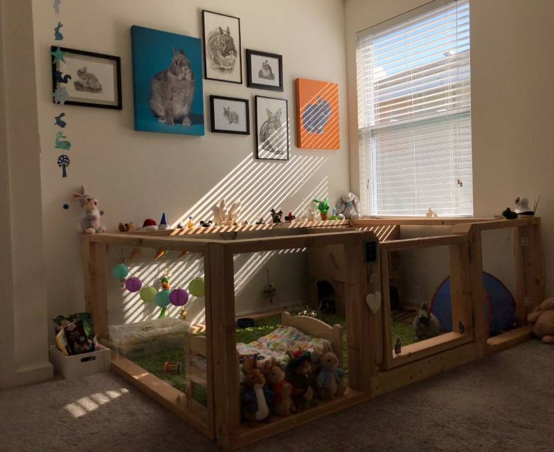 DIY rabbit enclosure