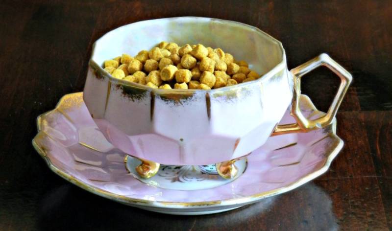 DIY tea cup cat food bowl