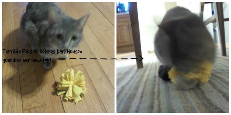 DIY tshirt yarn diy cat toys