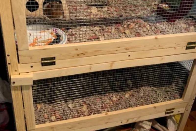 DIY two level guinea pig cage