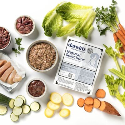 Darwin's Raw Cat Food Subscription