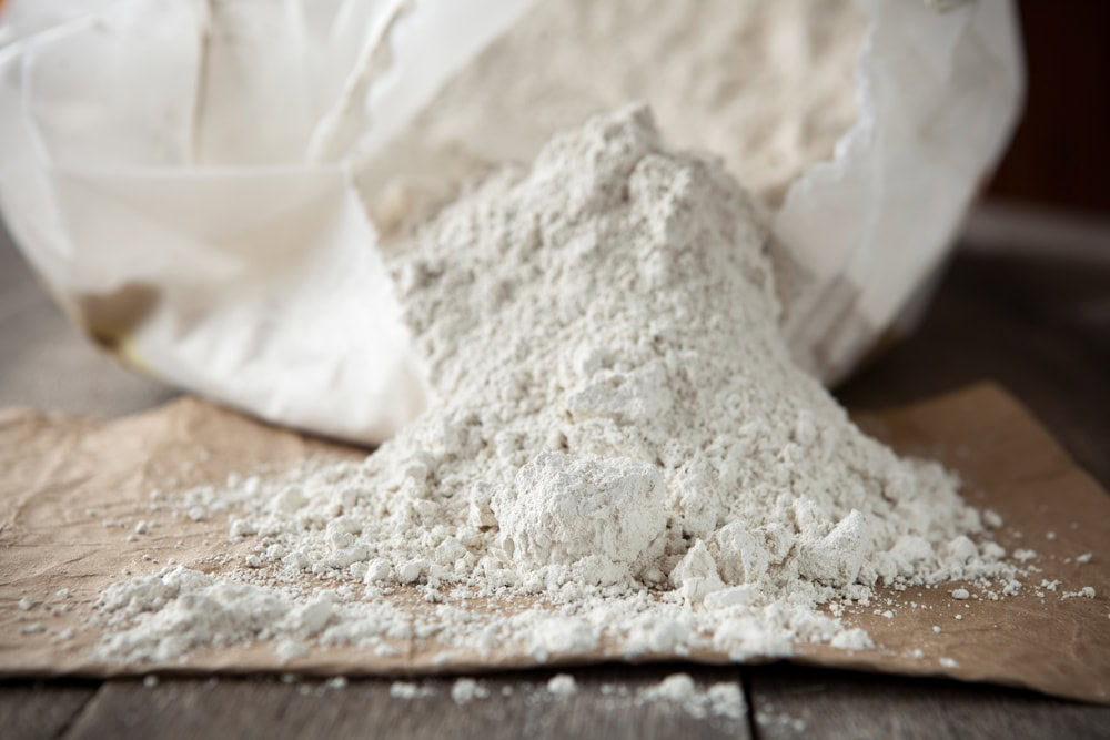 Diatomaceous earth powder