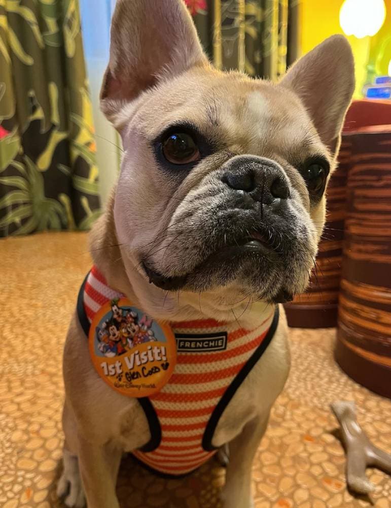 Disney Art of Animation Resort