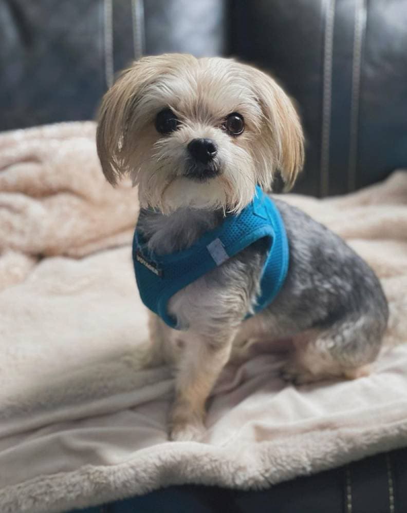 Disney’s Fort Wilderness Resort (Cabins)