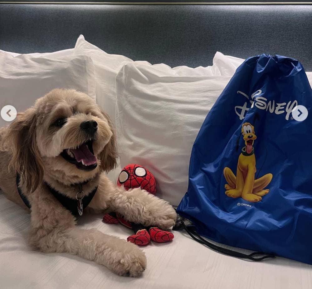 Disney’s Port Orleans Riverside Resort