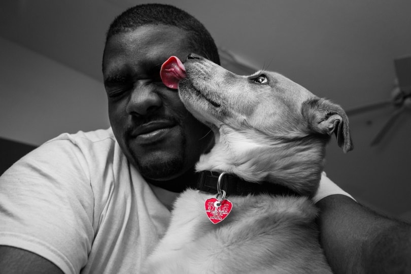 Dog licking human's face