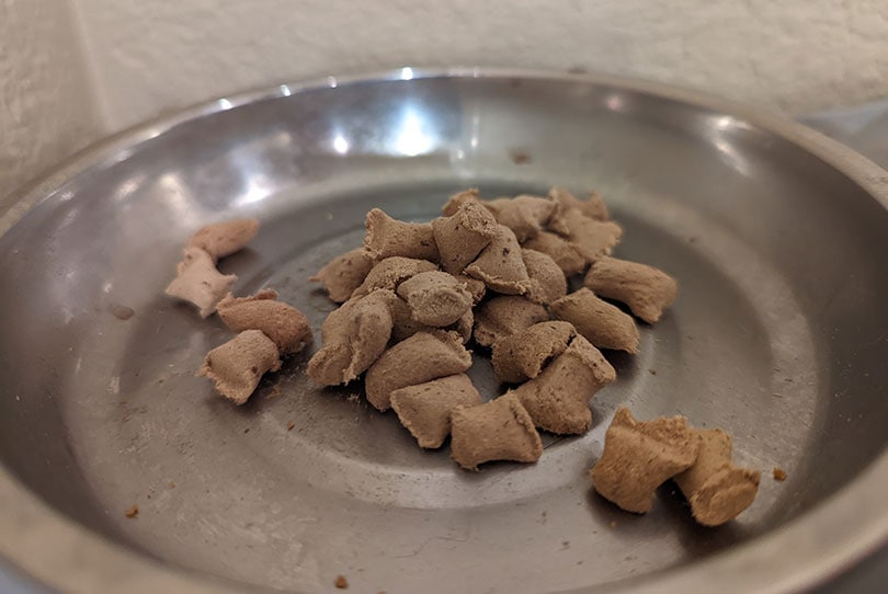 Dr. Marty’s Nature’s Feast cat food in bowl