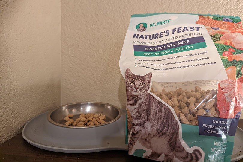 Dr. Marty’s Nature’s Feast cat food