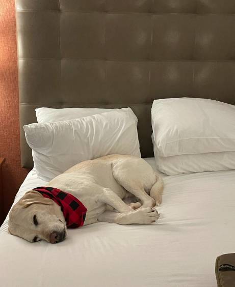 Drury Inn & Suites Knoxville West