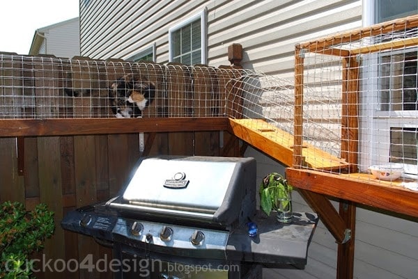 Easy DIY Cat Enclosure