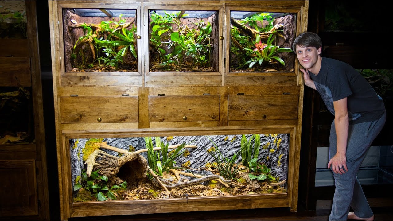 Easy_DIY_Plywood_Reptile_Enclosures
