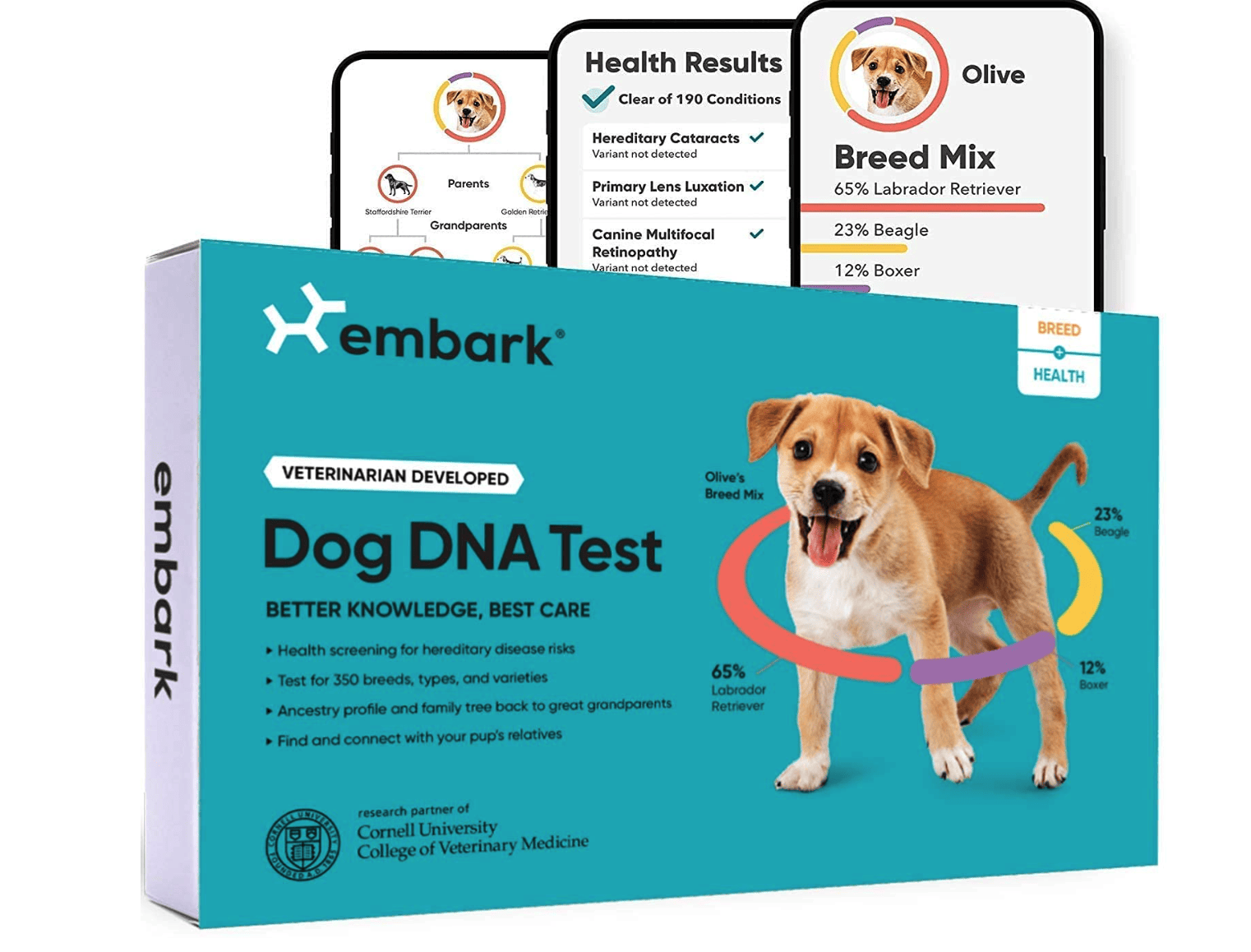 Embark dog dna test kit