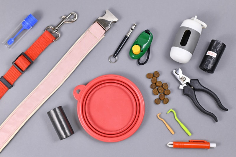 Essential dog supplies for traveling