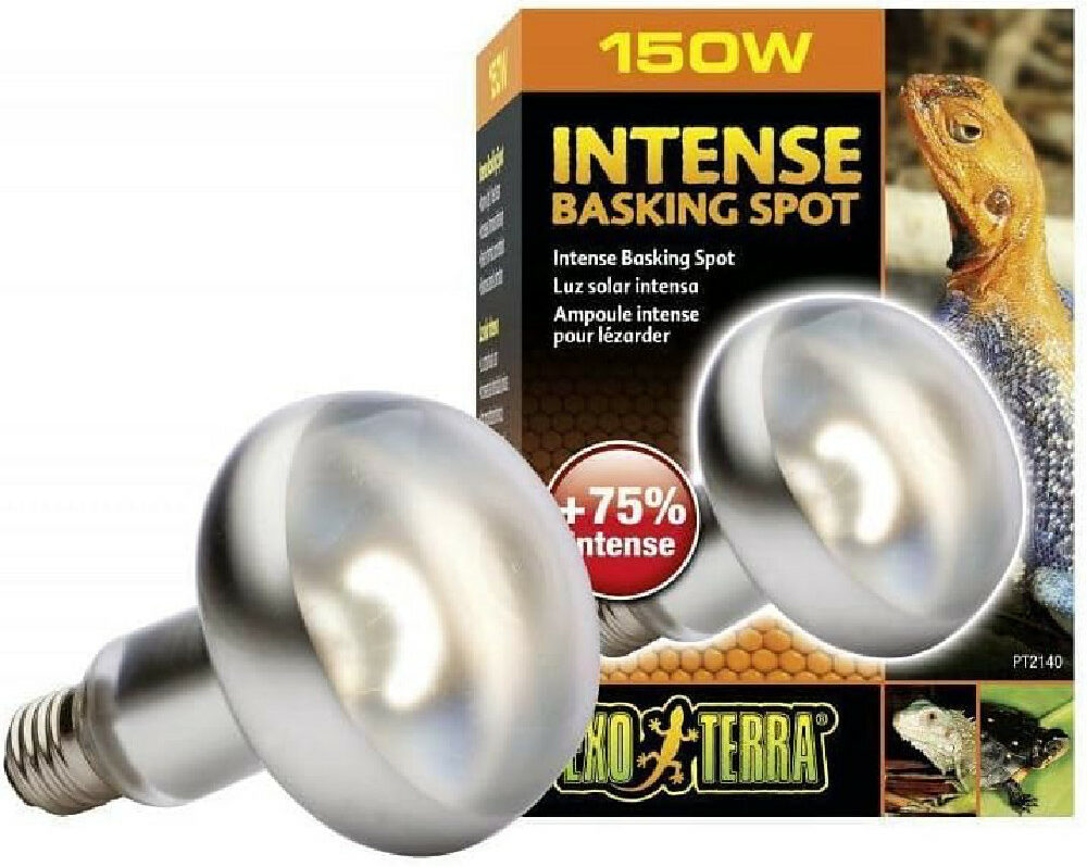 Exo Terra Intense Basking Spot Lamp Bulb