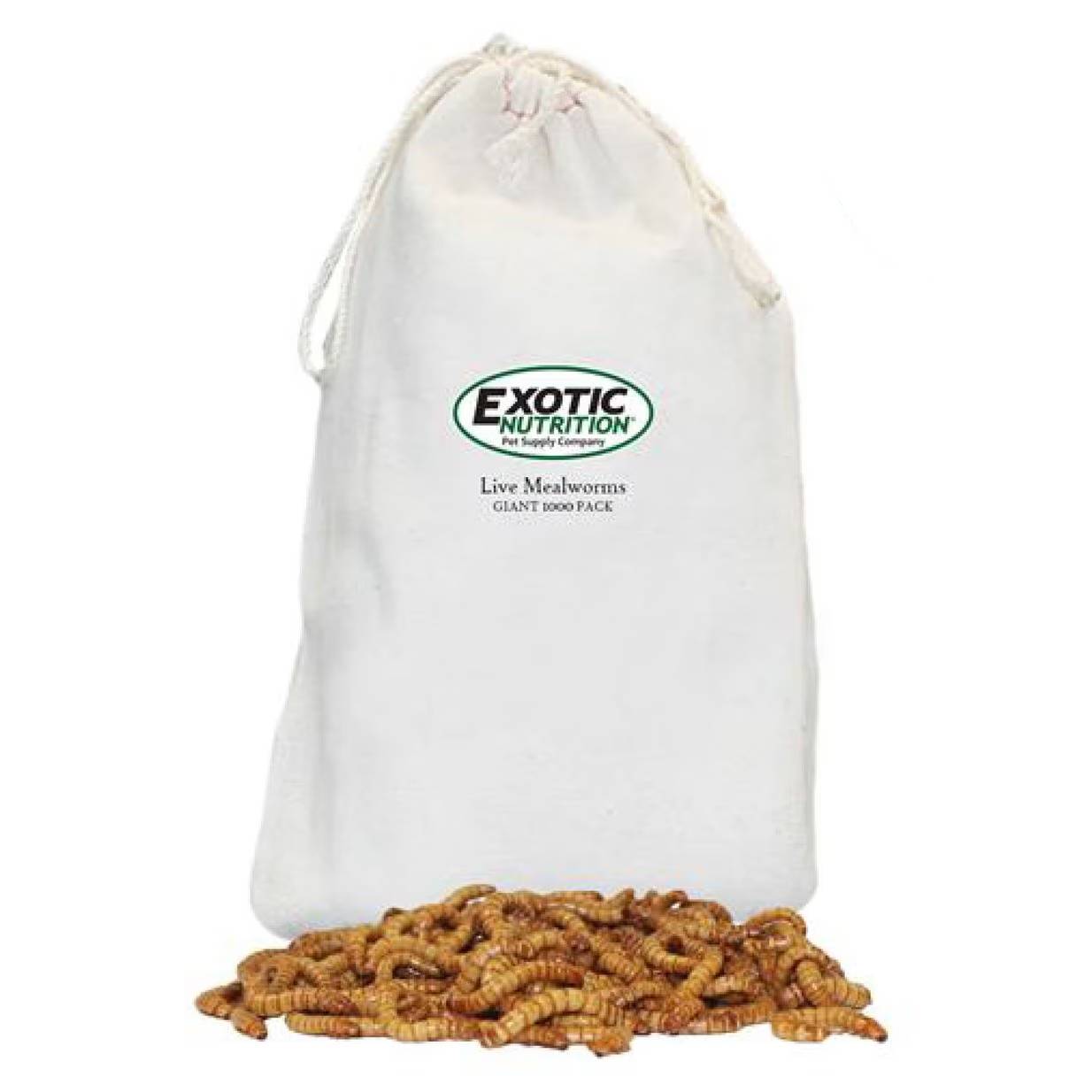 Exotic Nutrition Live Mealworms
