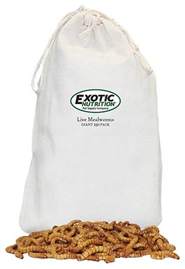 Exotic Nutrition Live Mealworms Reptile Food