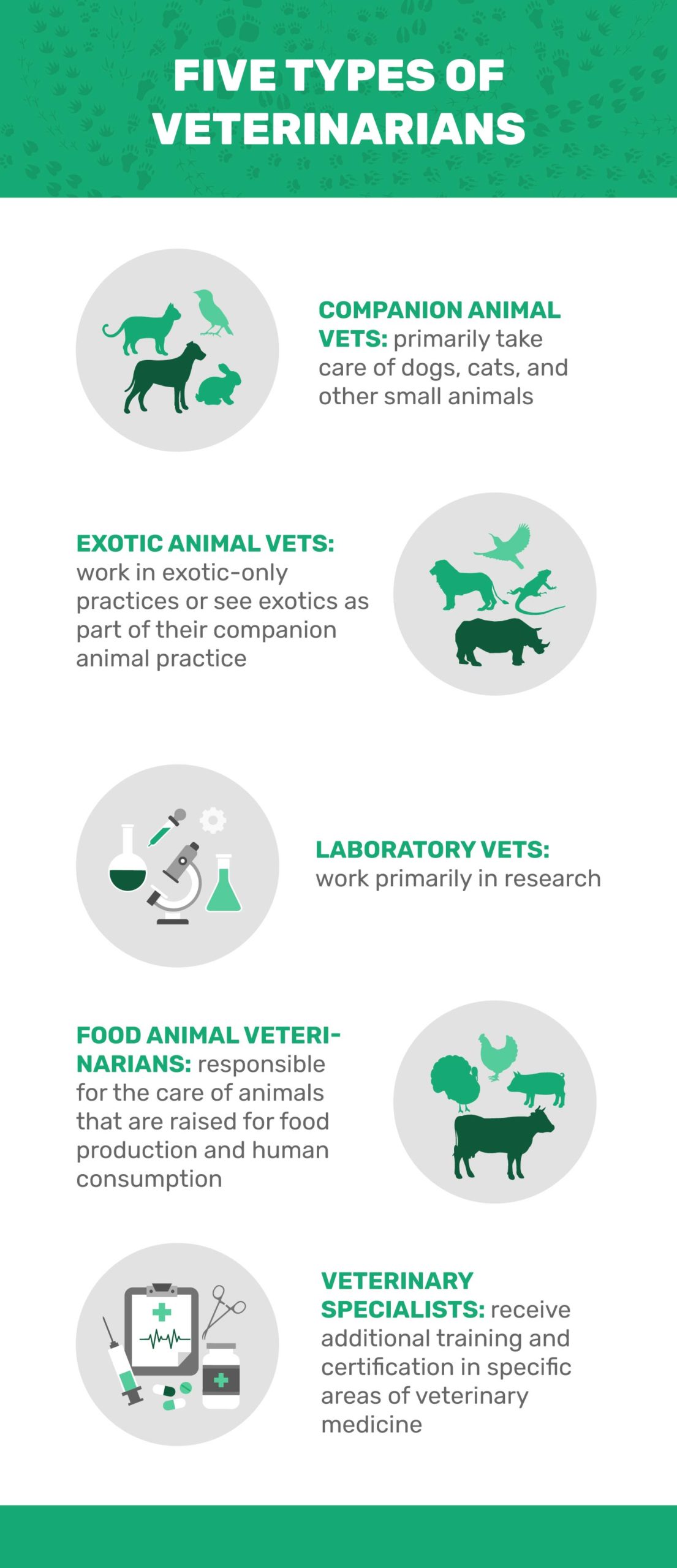 FIVE-TYPES-OF-VETERINARIANS