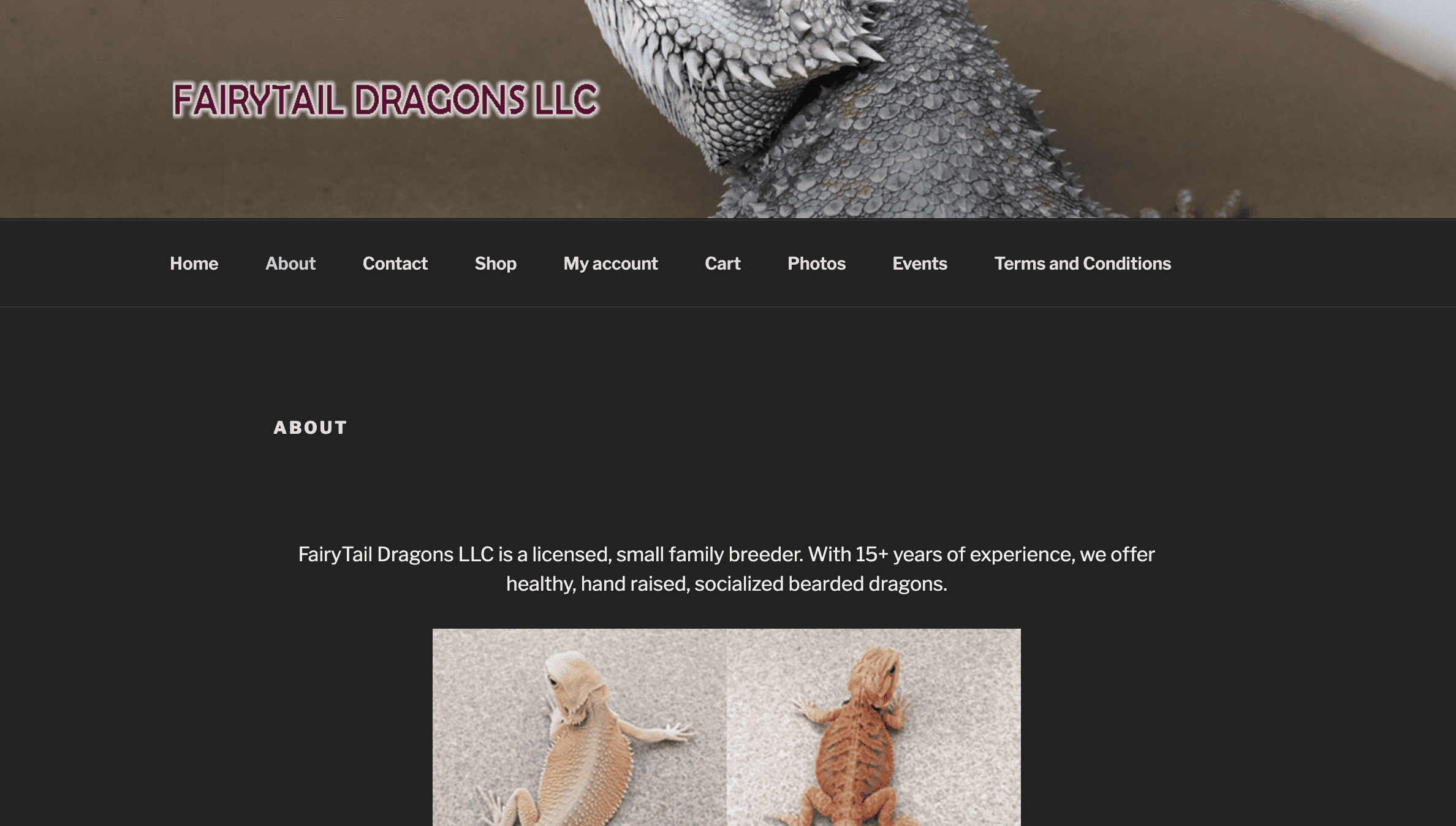 Fairytale Dragons LLC