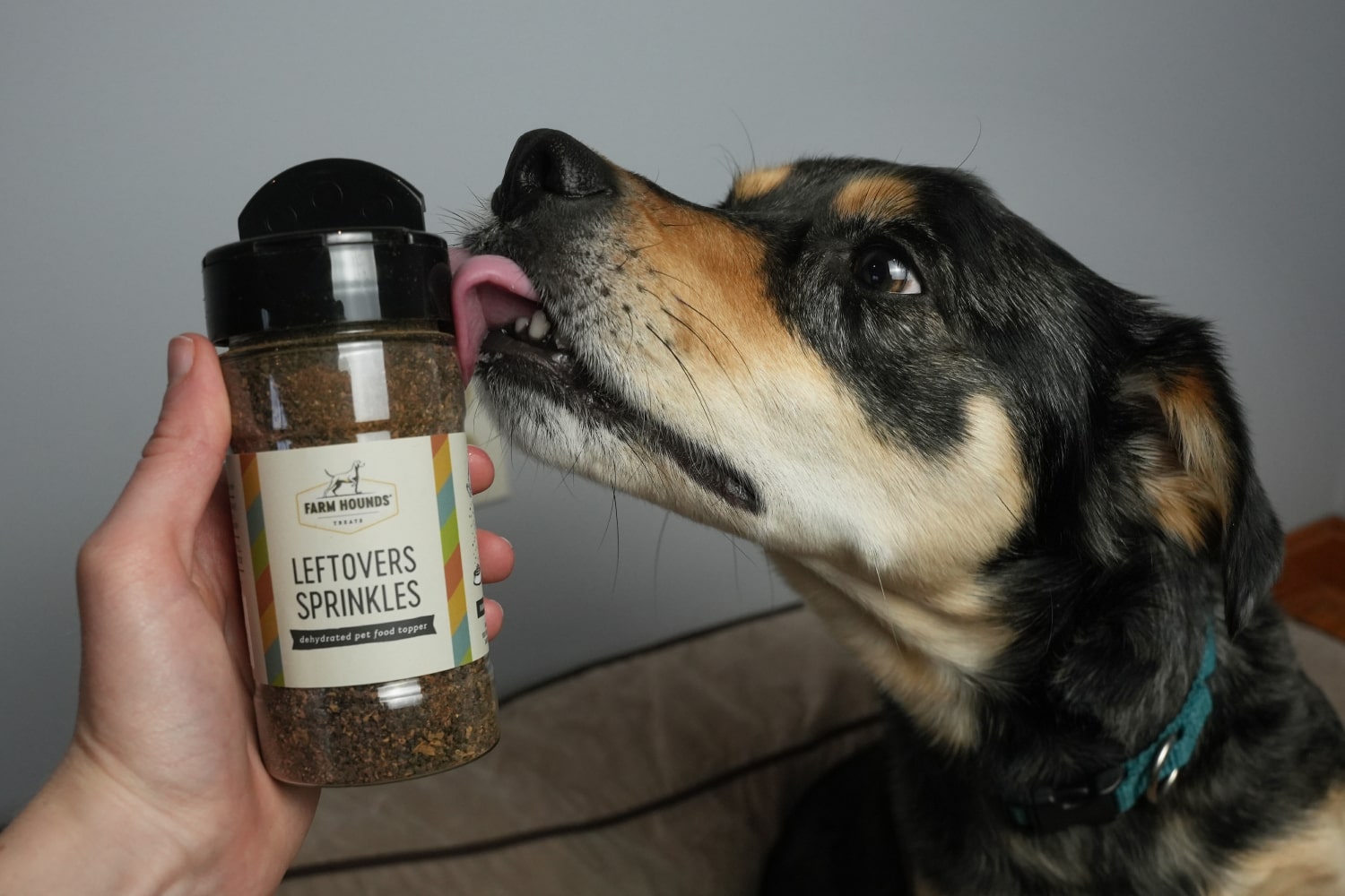 Farm Hounds Leftover Sprinkles