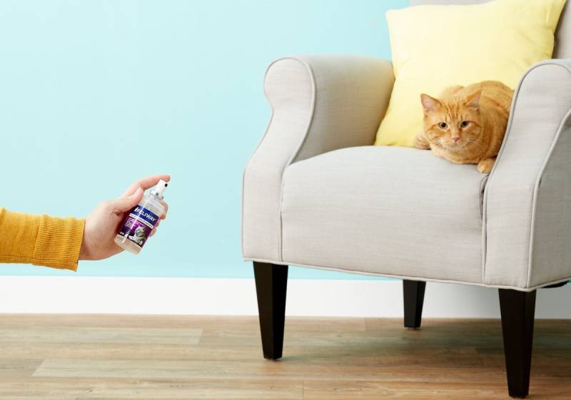 Feliway Optimum Enhanced Calming 30 Day Diffuser for Cats