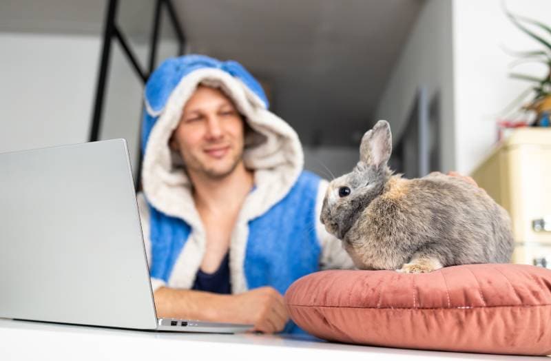 Freelancer man with his friendly bunny using laptop at remote home office