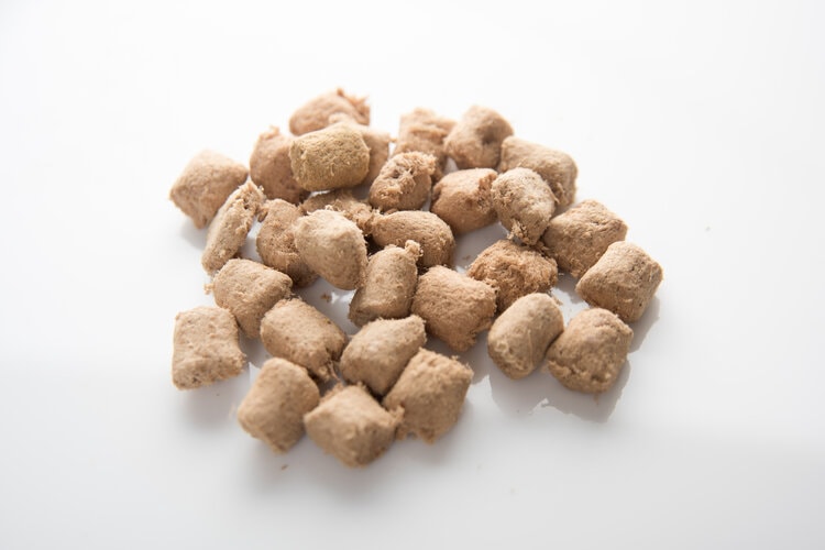 freeze dried pet food