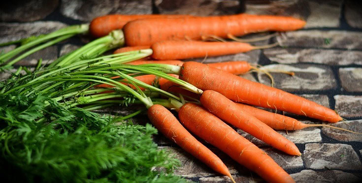 Fresh Carrots
