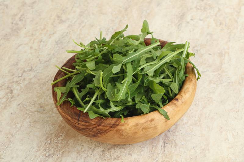 Fresh green arugula in the bowl snack