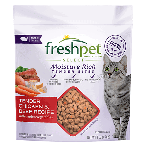 Freshpet Cat Food Review