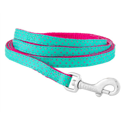 Frisco Patterned Dog Leash