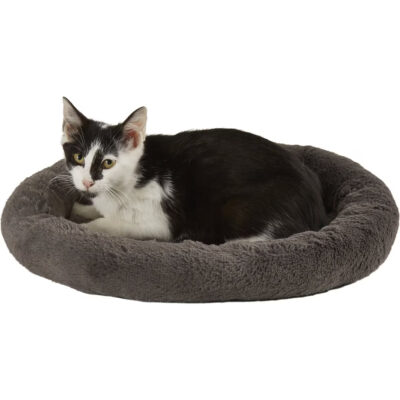Frisco Self Warming Cat Bed