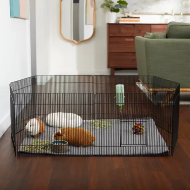 Frisco Wire Small Pet Playpen with Door
