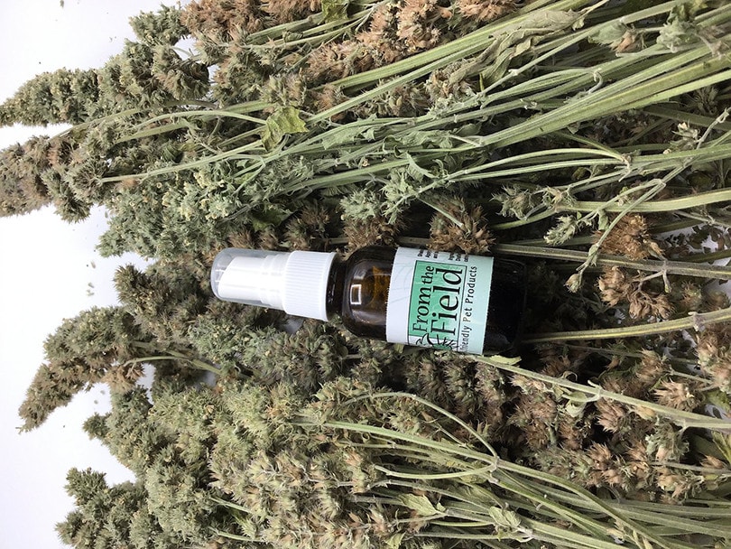 From the Field Catnip Spray