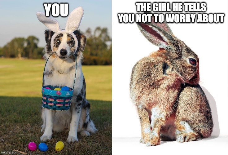 Funny rabbit memes you vs her