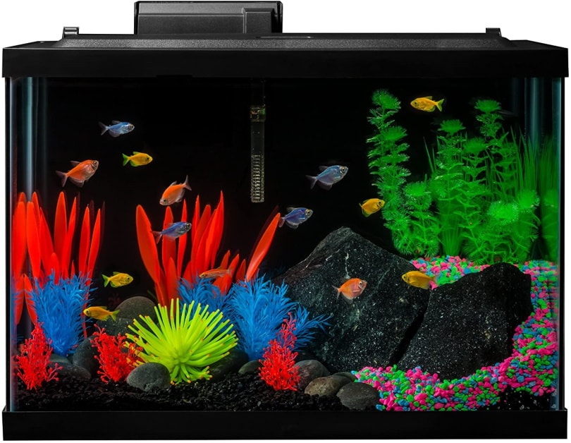 GloFish Aquarium Kit Fish Tank_Amazon
