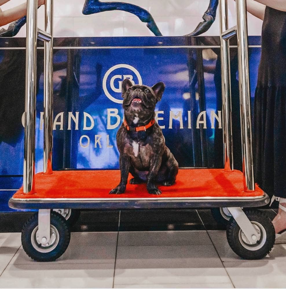 Grand Bohemian Hotel Orlando