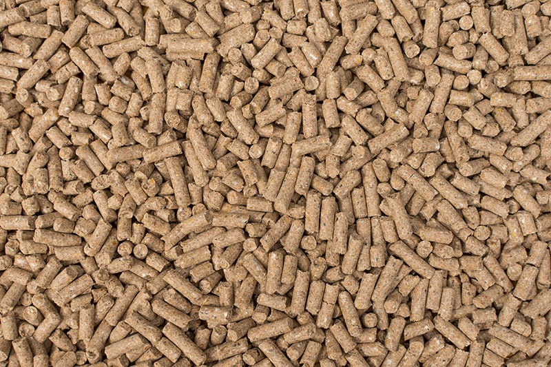 granules of horse feed close up
